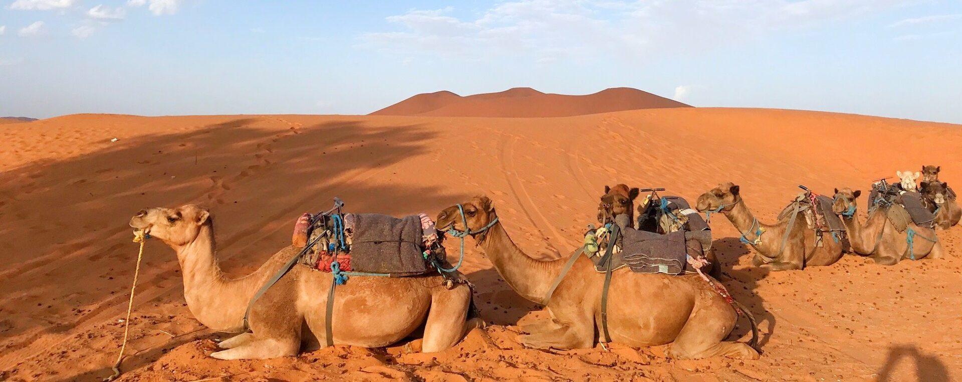 Ruta de 4 dias desde Marrakech al desierto de Merzouga